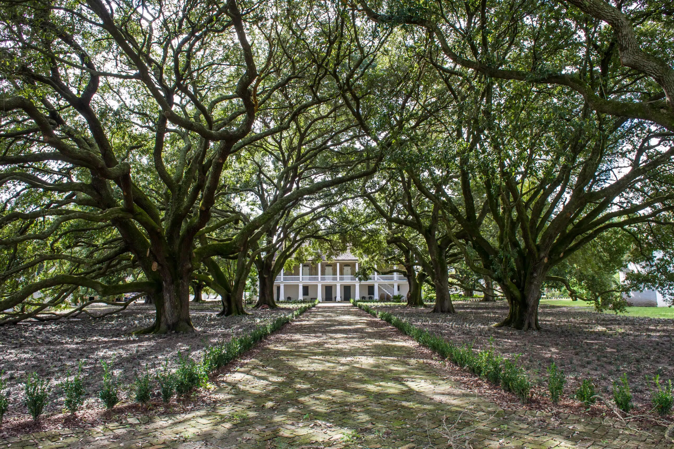 whitney plantation tour: big house