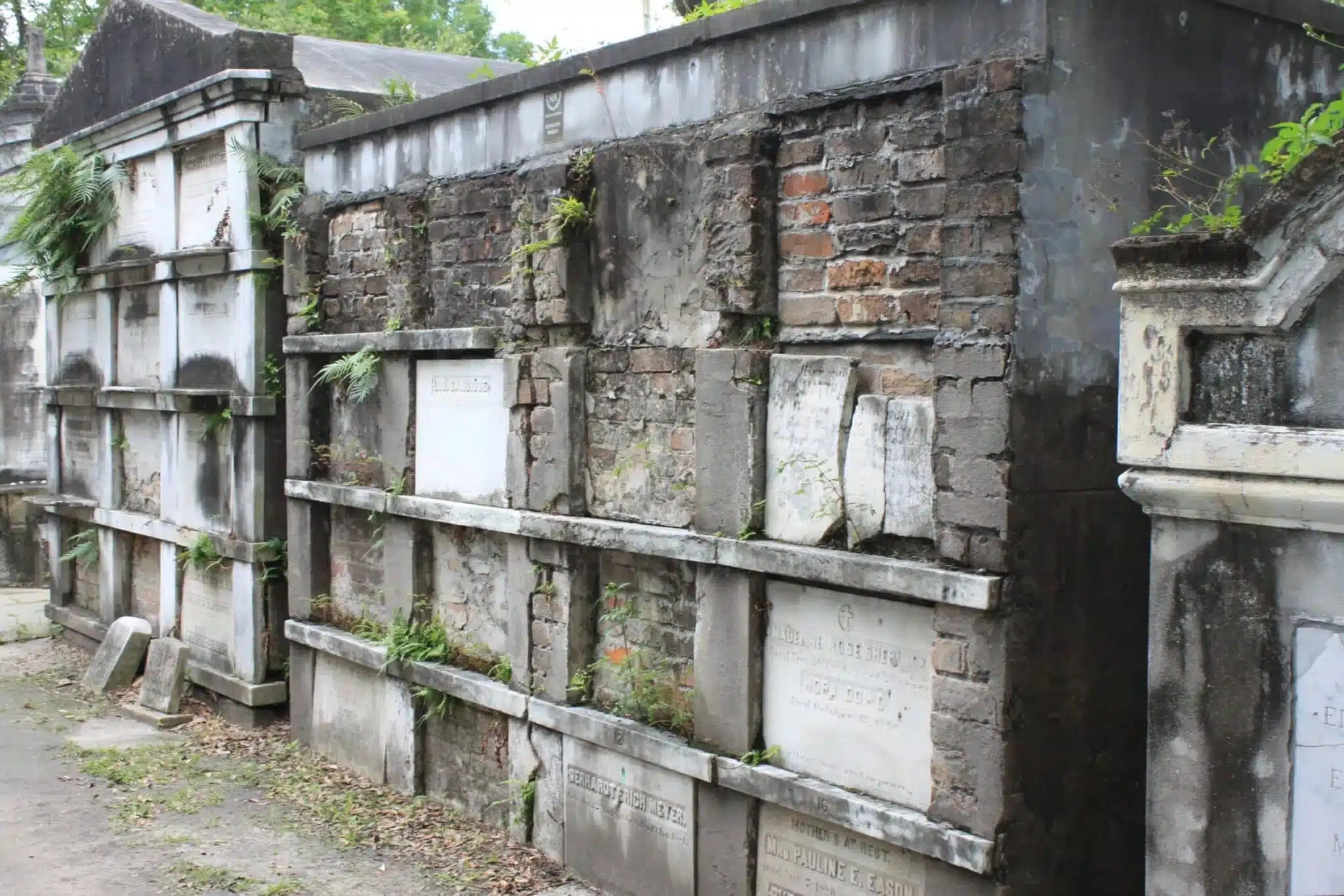 Rows of above-ground tombs in a historic cemetery, lined with flowers and weathered stone pathways.