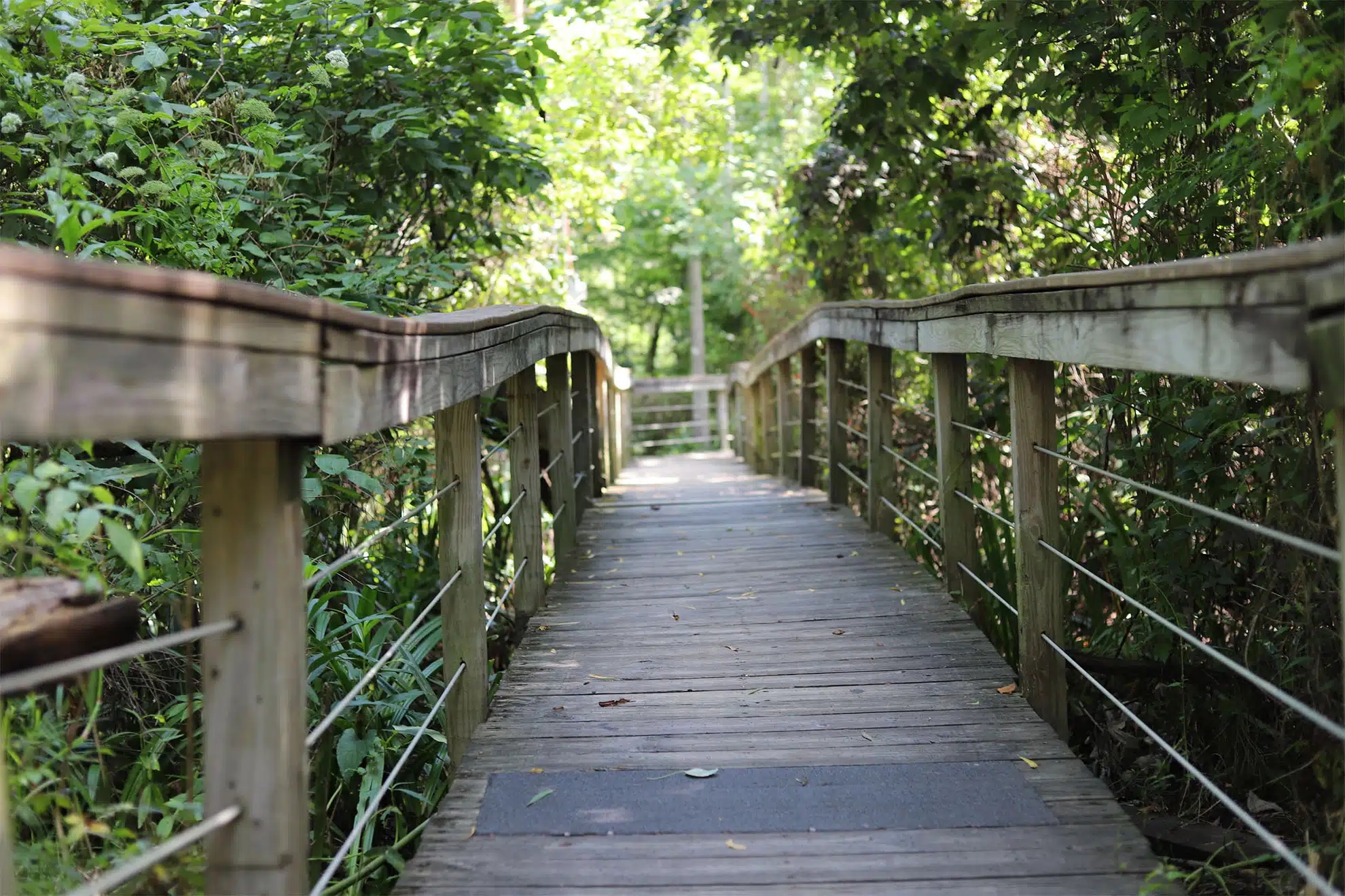 Wooden dock runway in the swamp at Cajun Encounters Pavilion in Slidell