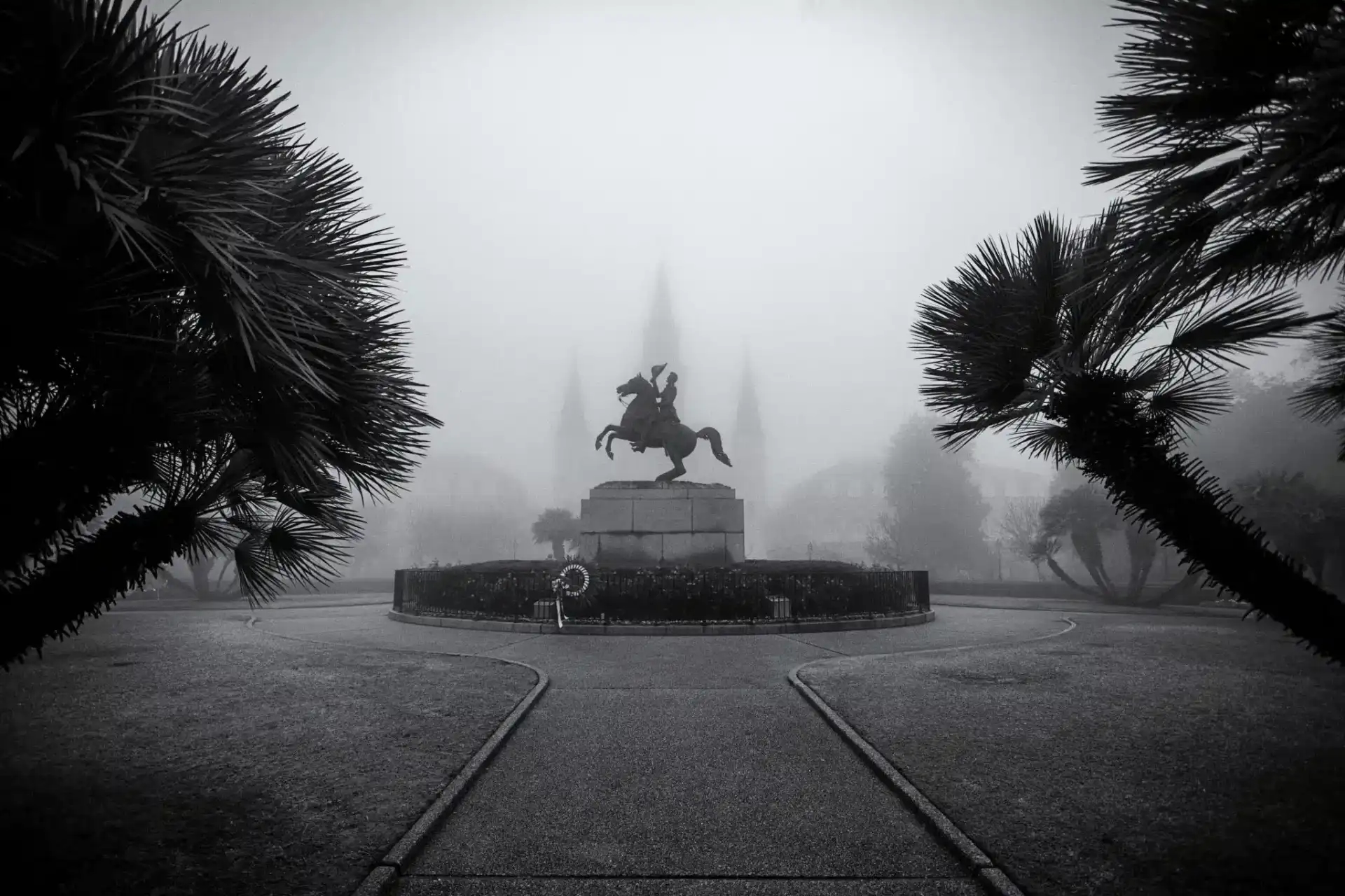 A silhouetted equestrian statue surrounded by palm trees in a foggy Jackson Square.