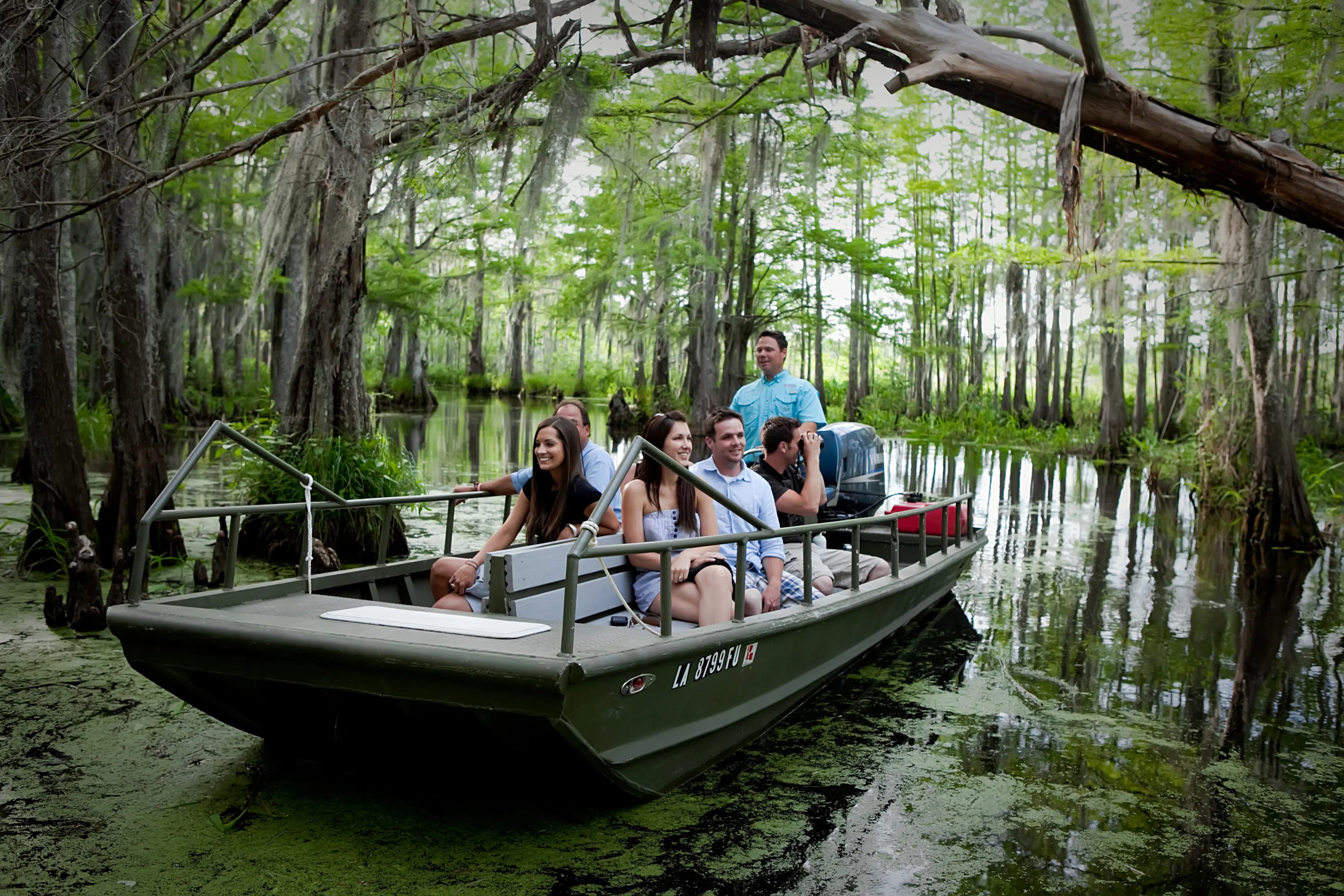 beautiful trees covered in moss on new orleans swamp tour