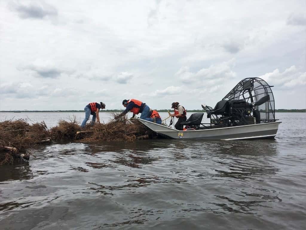 Christmas Trees Are Saving Louisiana