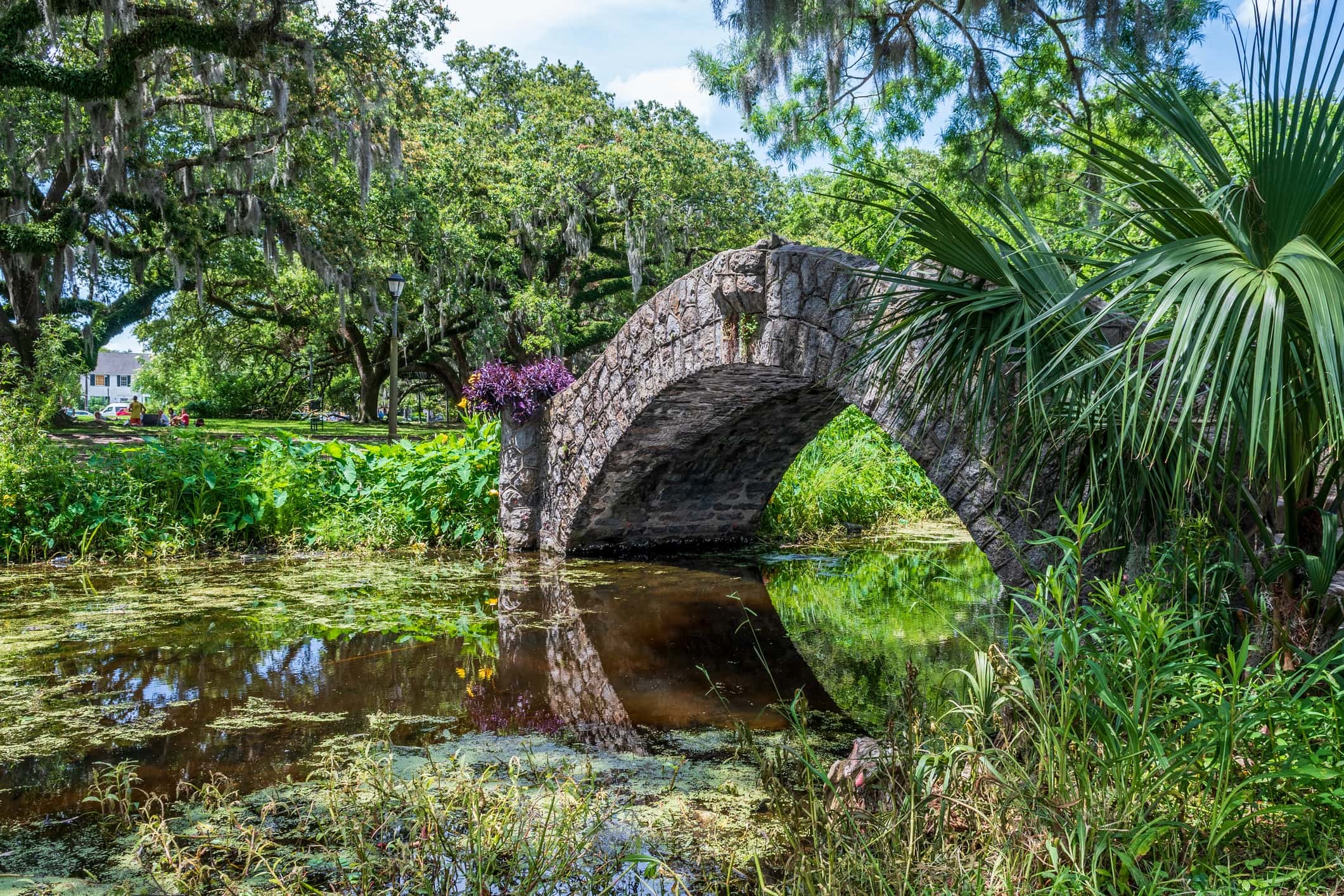 New Orleans City Park