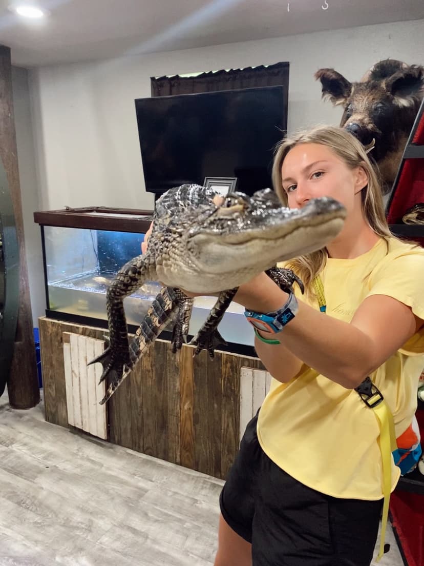 Woman in a yellow shirt holds a small alligator indoors, with a mounted boar head visible in the background.