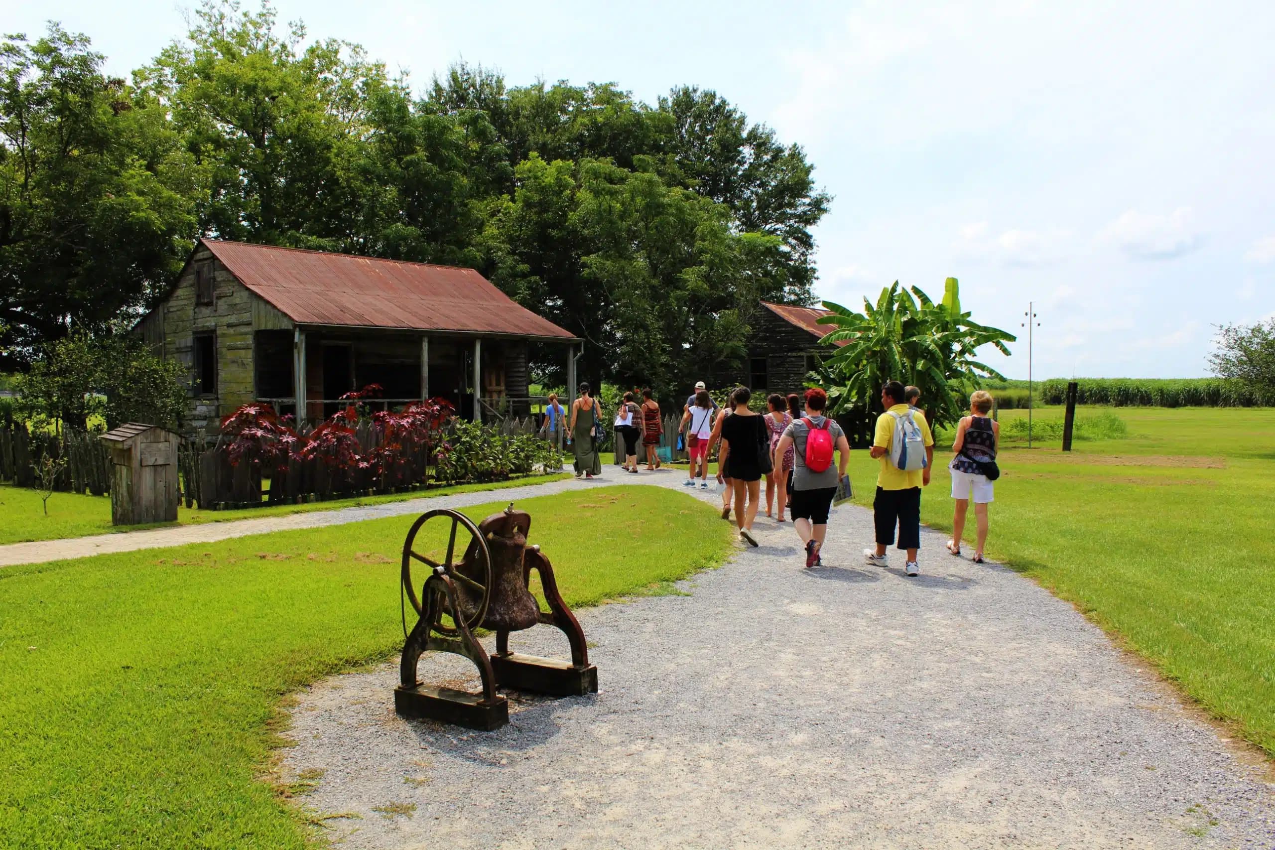 A group of visitors walking along a gravel path toward historic wooden cabins with rusted tin roofs, surrounded by lush greenery and a sugarcane field in the background.