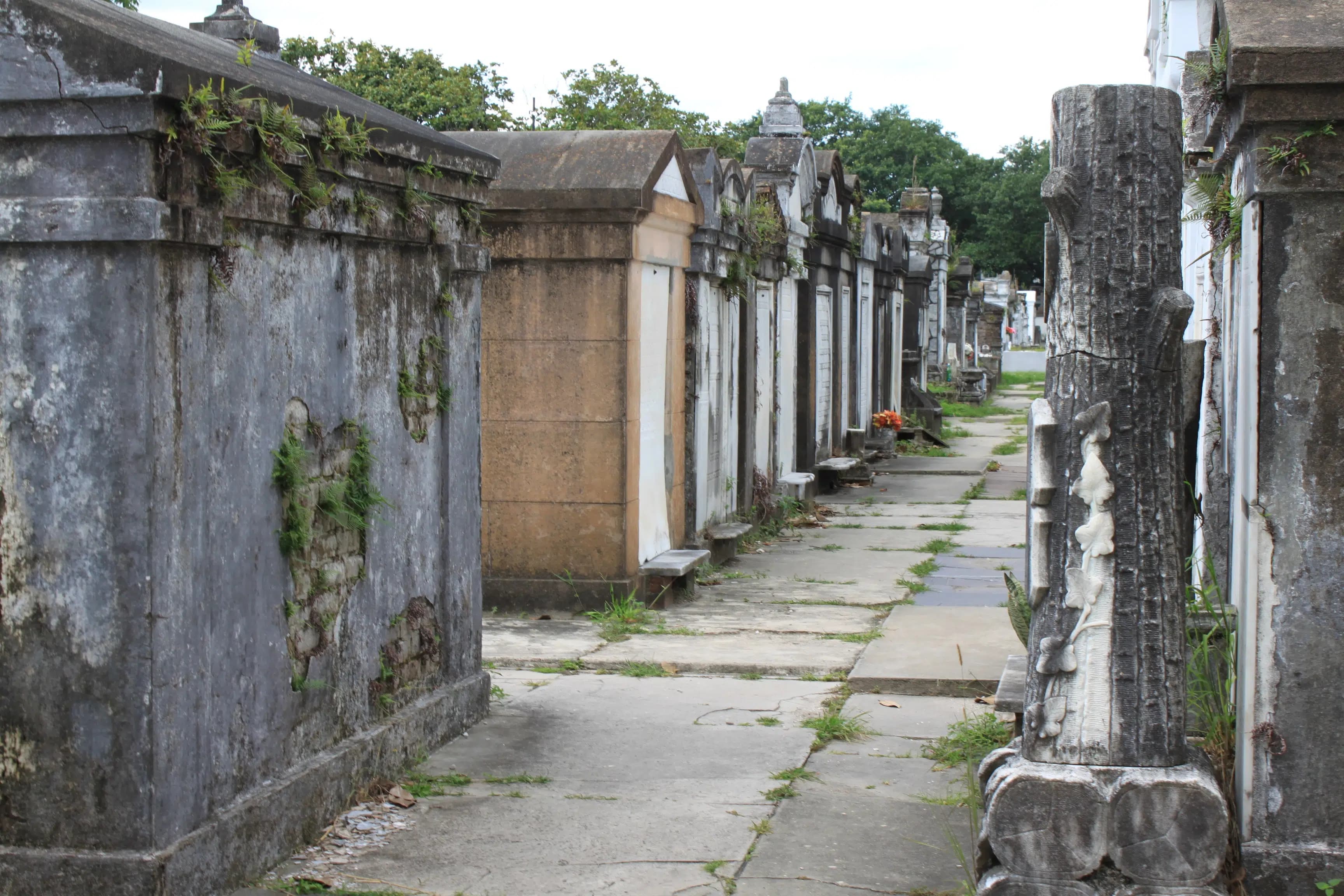 new orleans city tour scenery