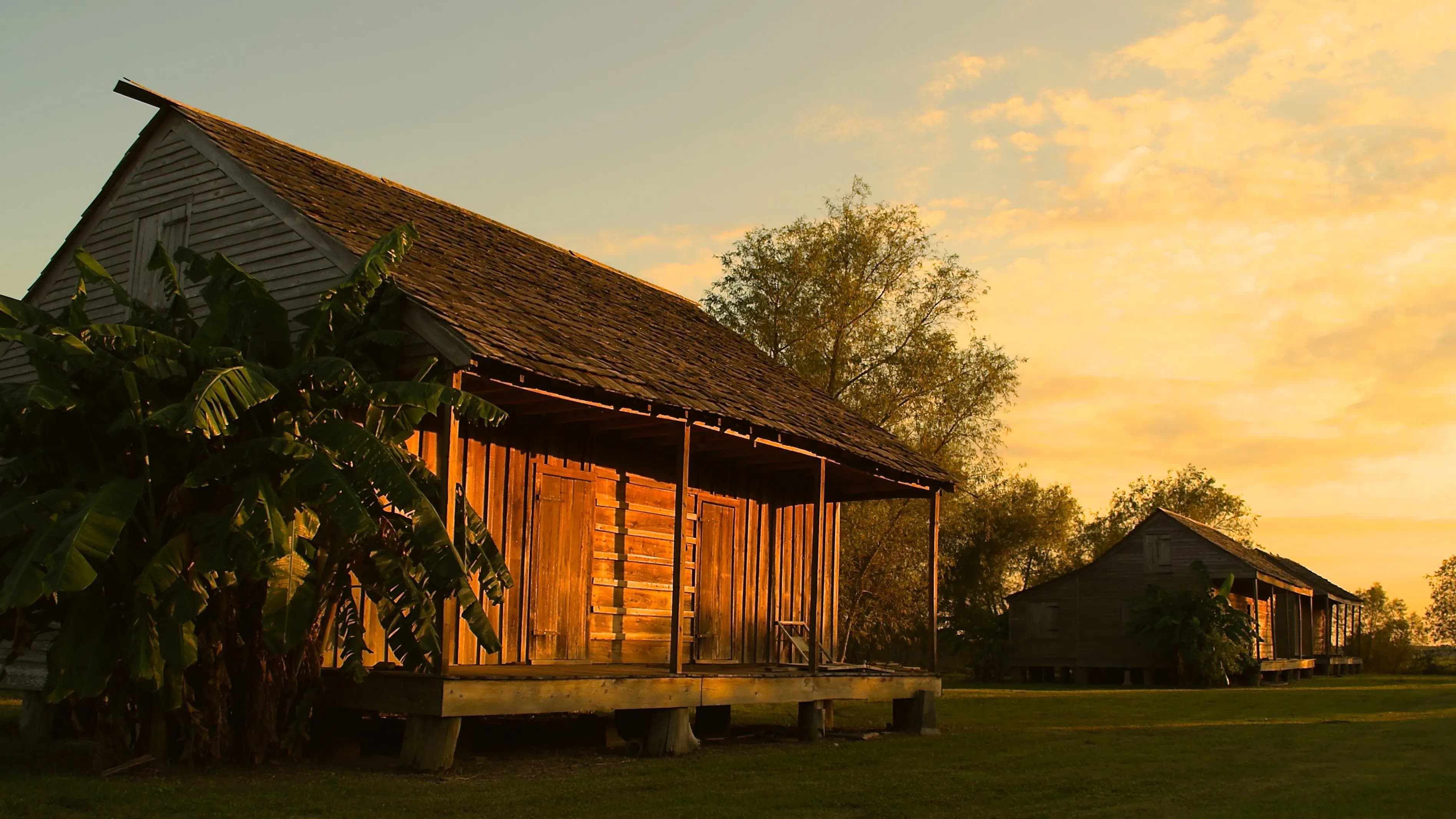 Wooden cabins with raised porches bathed in warm golden sunlight, surrounded by banana plants and trees, under a vibrant evening sky..