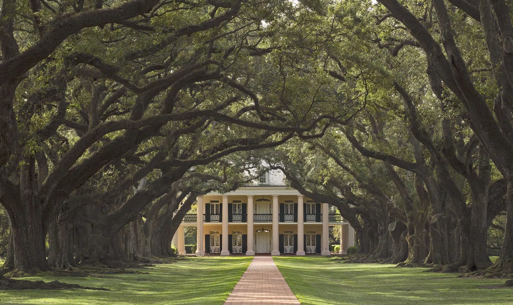 new orleans plantation tour scenery