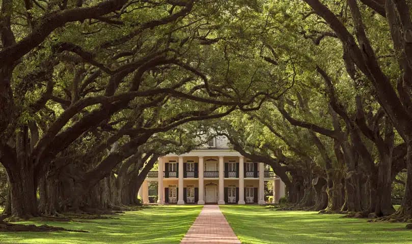 Oak Alley Plantation framed by a canopy of sprawling oak trees and a red brick pathway leading to the historic home.