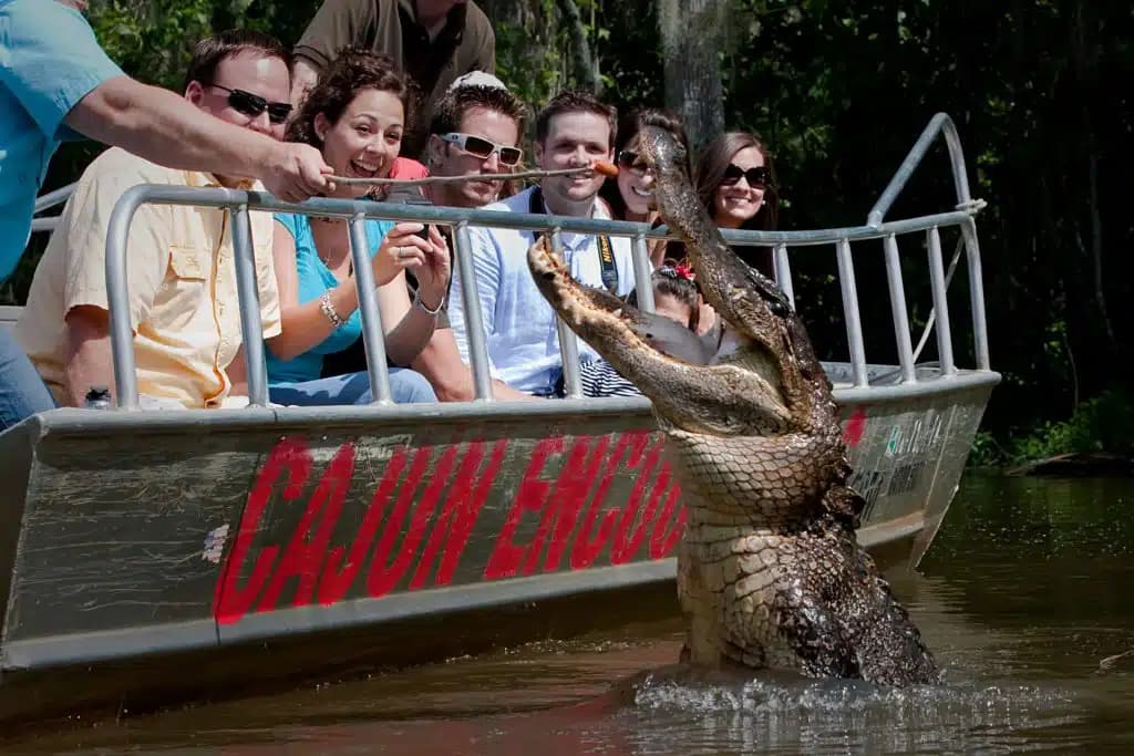 new orleans swamp tour scenery