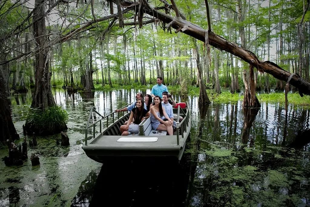 Small group on a cajun encountrs vip swamp tour through the pearl river swamp with lush greenery and calm water.