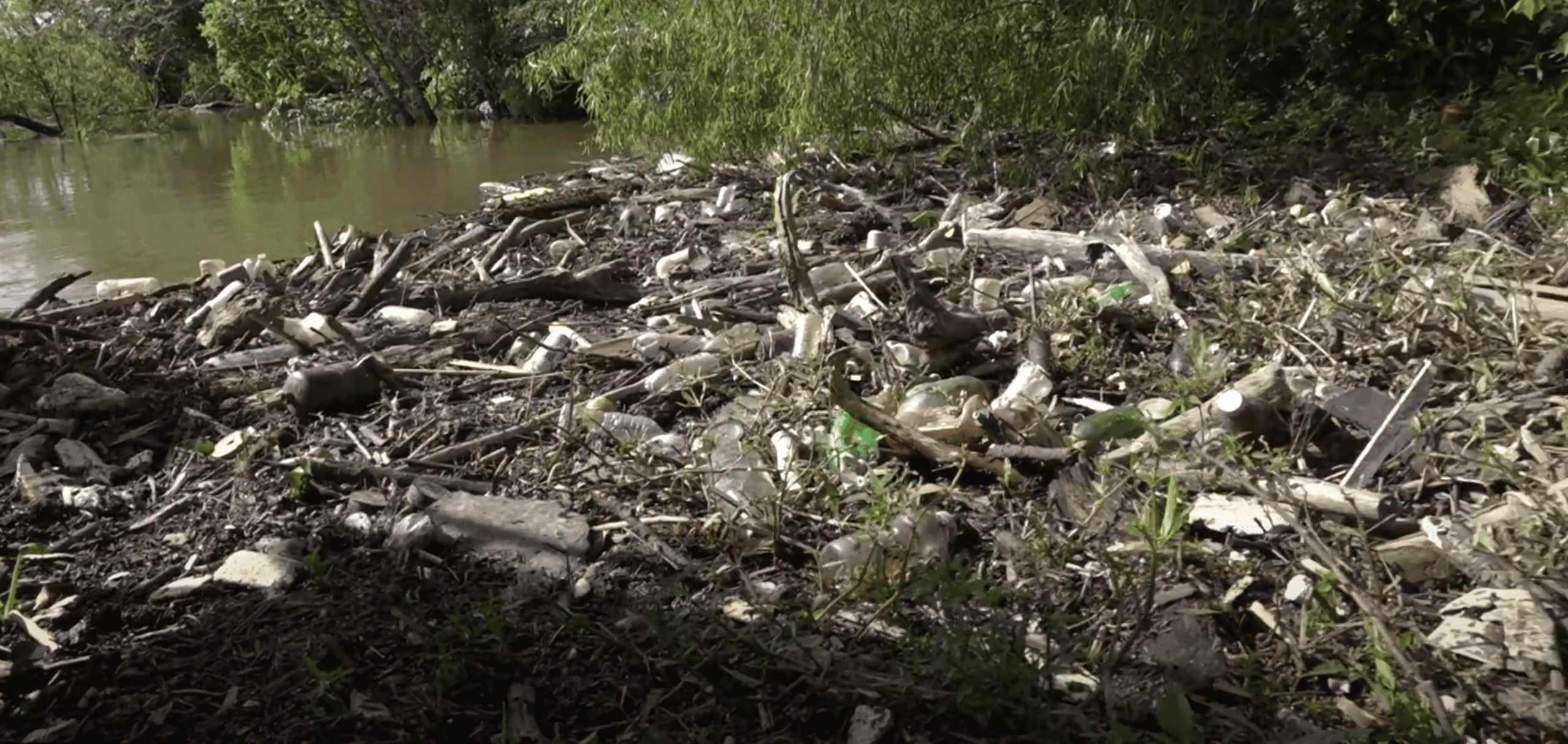 how littering-affects-the-swamp blog image