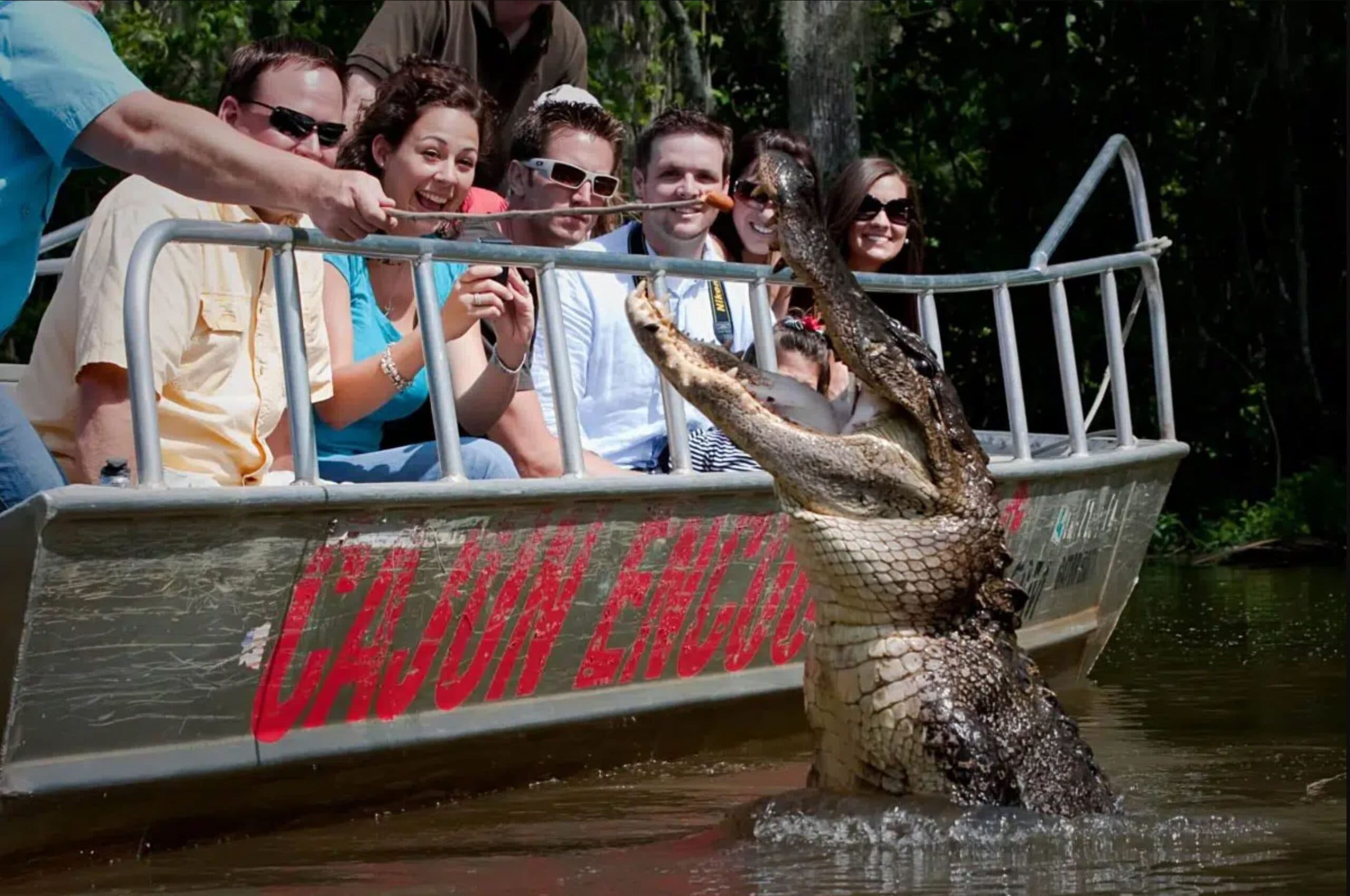 nola insider ranked us the best swamp tour in new orleans!