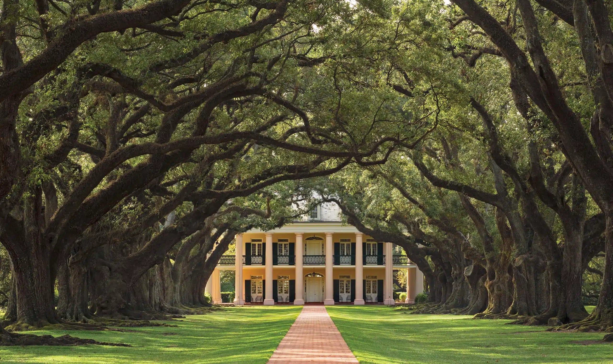 Oak Alley Plantation Tour: Big House Tree Tunnel