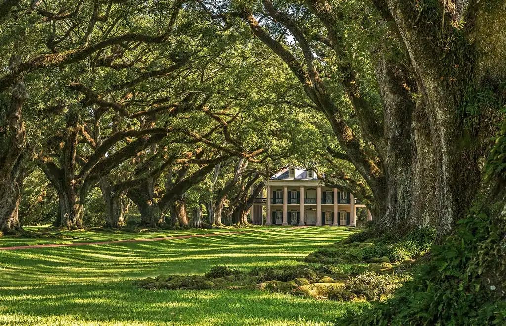 Close-up of statues depicting children in historic attire, including dresses and overalls, standing inside a church with wooden pews and arched windows in the background